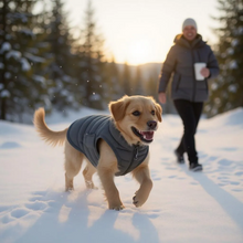 New Winter Dog Coat Waterproof Pet Clothes